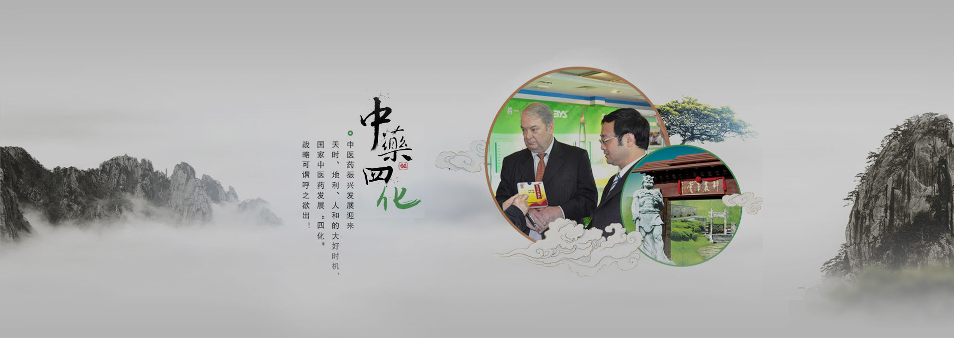 徽州建站-若一医药科技