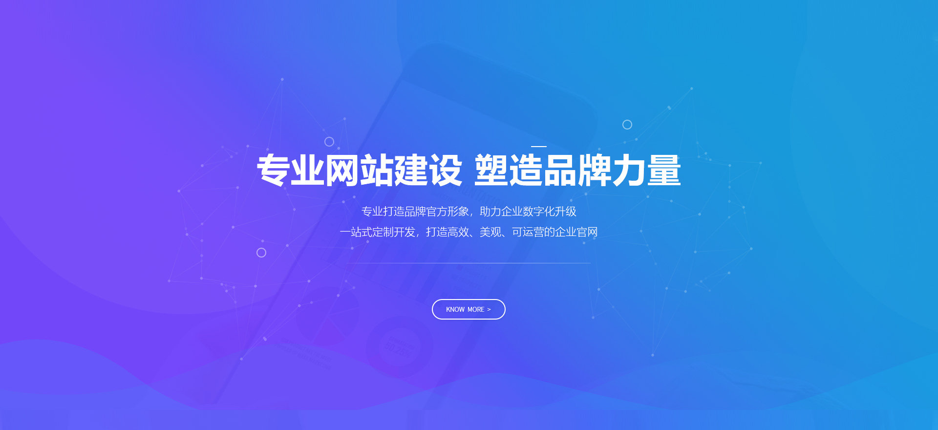 黄山区建站-专业网站建设 塑造品牌力量